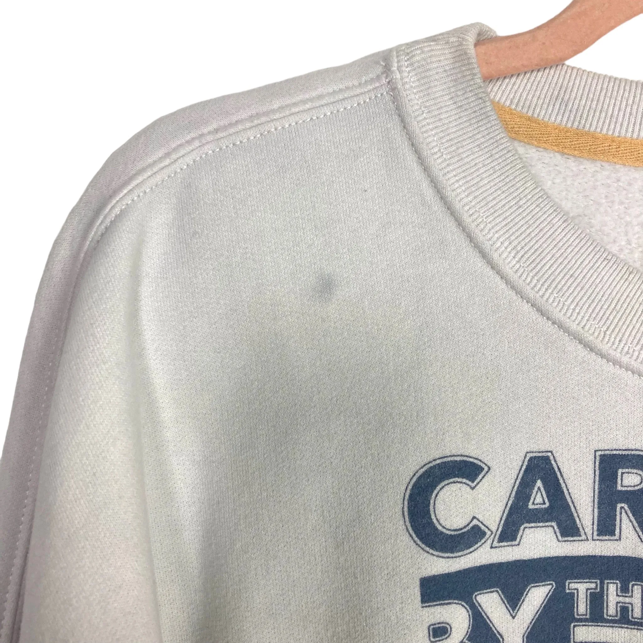 Abercrombie & Fitch Half Carmel and Half Charleston Cropped Sweatshirt- Size M (see notes)