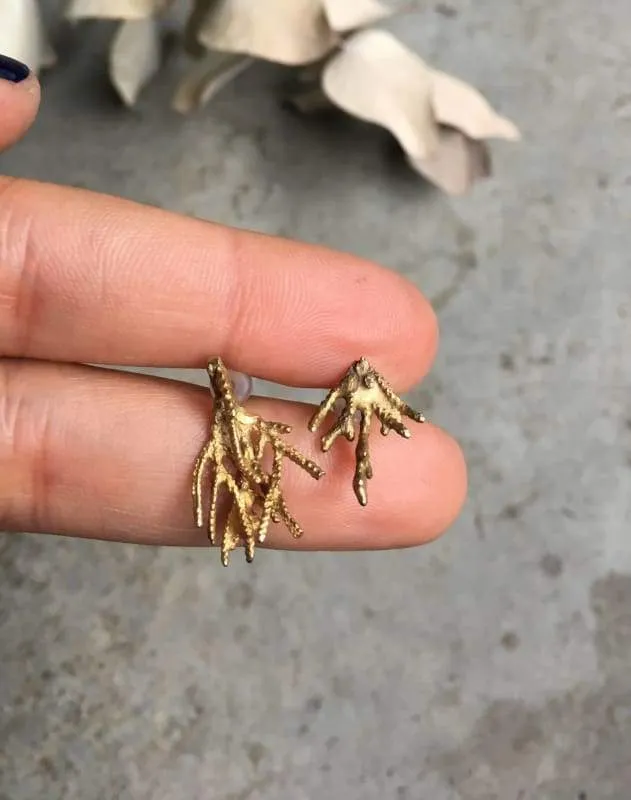 Cypress Branch Earrings in Brass