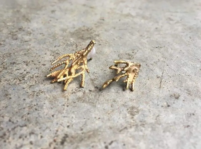 Cypress Branch Earrings in Brass