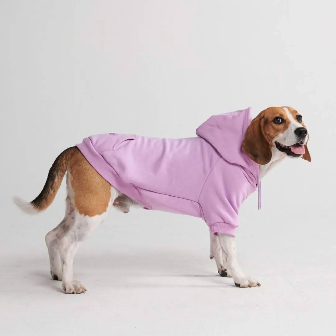 Essential Dog Hoodie - Orchid Purple