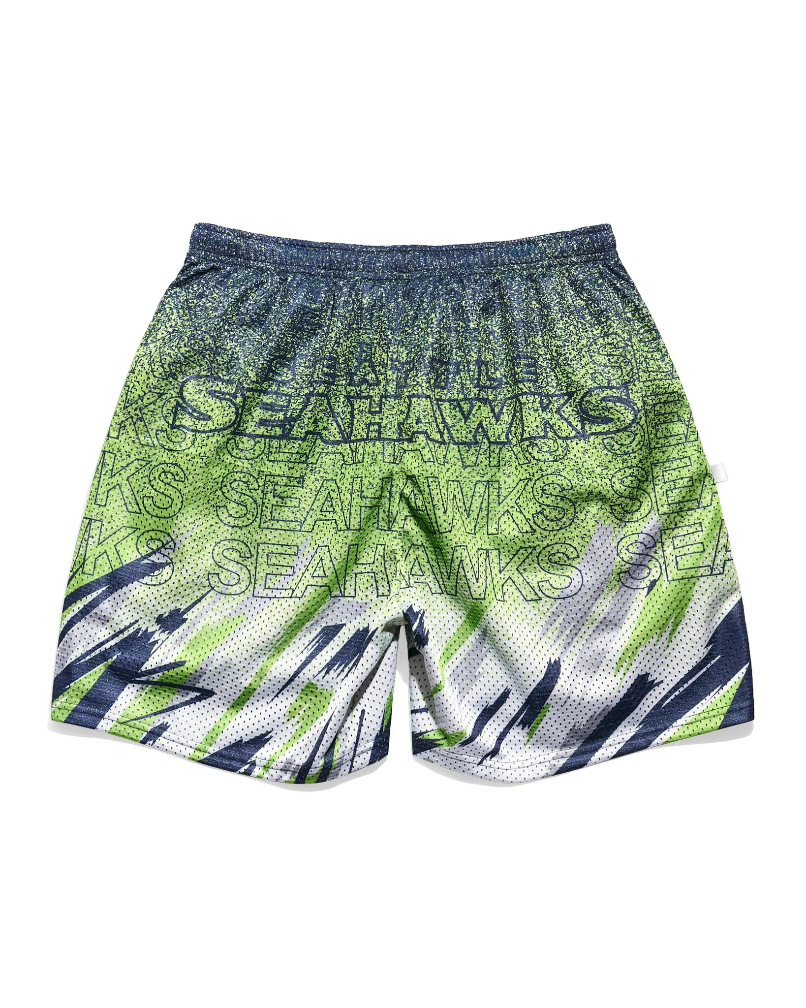 Seattle Seahawks Sketch Retro Shorts