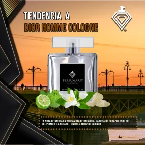 Tendencia  a CDior Homme Cologne