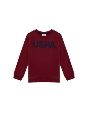 USPA Boys Sweatshirt Cherry VR223 USPSS135